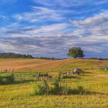 Helle Loft Mit Eingenem Garten Apartamento