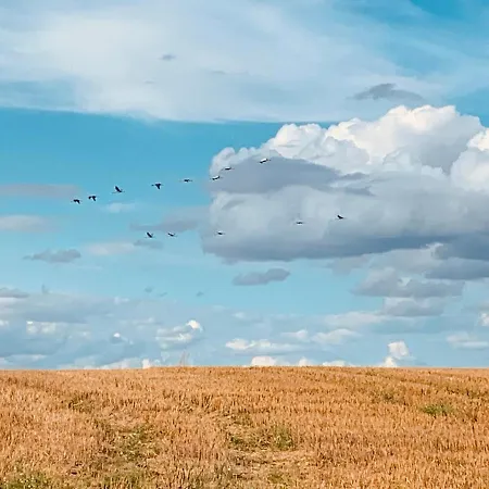 Helle Loft Mit Eingenem Garten Apartamento