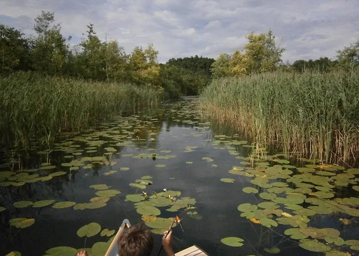 Helle Loft Mit Eingenem Garten テンプリーン