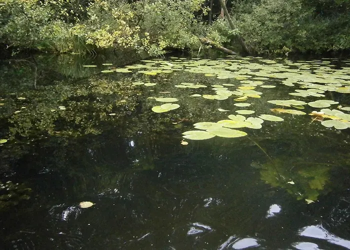 Helle Loft Mit Eingenem Garten *