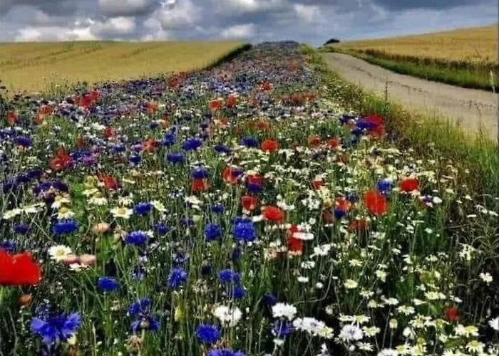 Helle Loft Mit Eingenem Garten