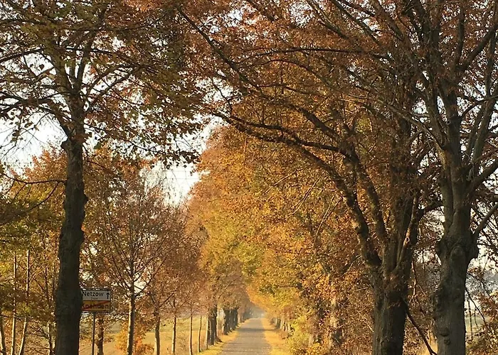 Helle Loft Mit Eingenem Garten *
