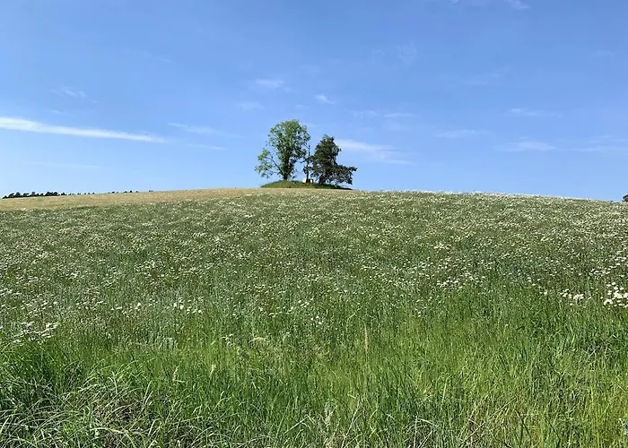 アパート Helle Loft Mit Eingenem Garten